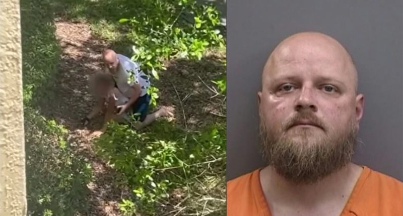 VIDEO: Tampa man arrested for attacking 11-year-old girl