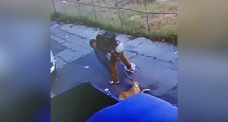 Viral video shows man bodyslam, abuse dog in Long Beach