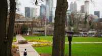 Visa cancellations sow panic for international students, with hundreds fearing deportation
