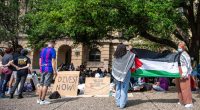 Visas revoked for students at universities in Southern states amid crackdown