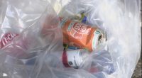 Volunteers clean 12 miles of Hilton Head beaches for Earth Day