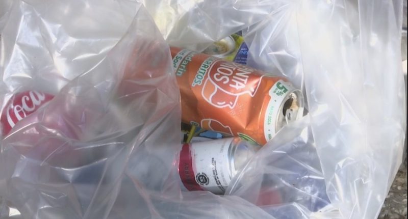 Volunteers clean 12 miles of Hilton Head beaches for Earth Day