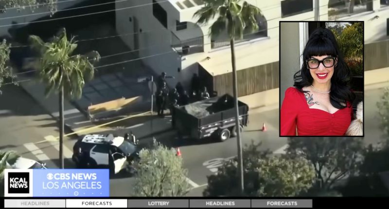 Weezer bassist's wife aimed gun at cops on manhunt: Police