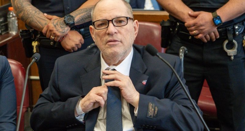 Weinstein's #MeToo rape retrial opens with added allegations from a former model