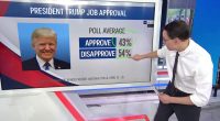 What Americans think of Trump as he marks 100 days in office
