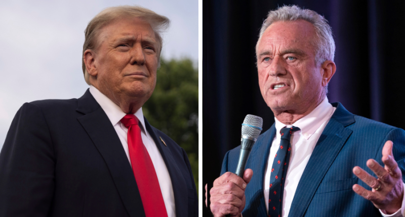 What does RFK Jr's 'Make America Healthy Again' movement aim to do?