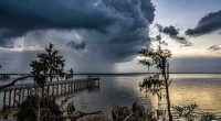 When does rainy season start in Florida? Here’s what to know