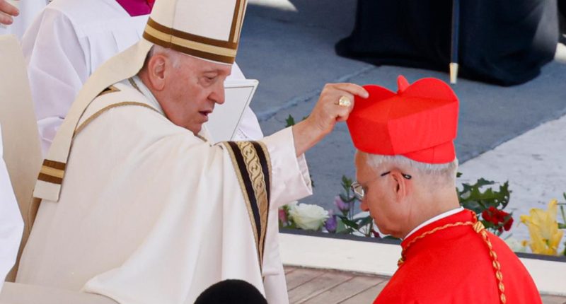 Who will be the next pope? Meet some of the cardinals considered top contenders