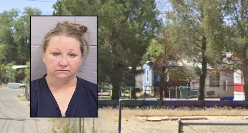 Wife who claimed man stabbed himself charged: Police