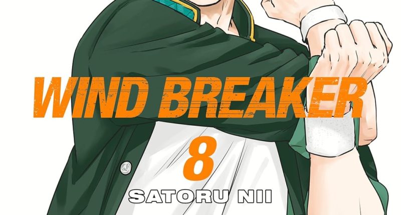 Wind Breaker Volumes 8 and 9 Review