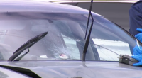 A 12-hour police chase has come to an end after heavily armed officers fired at a woman armed with a gun inside a car in Melbourne's south-east.