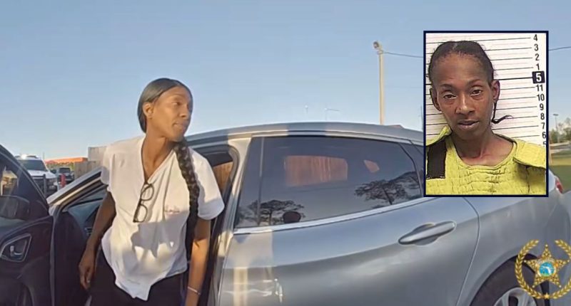 Woman dressed as ICE agent kidnaps ex-boyfriend's wife: Cops