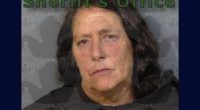Woman pointed real-looking firearm at boys fishing: Cops
