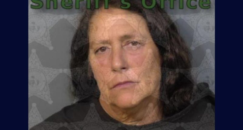 Woman pointed real-looking firearm at boys fishing: Cops