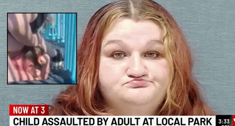 Woman 'repeatedly slammed' child's head on park slide: Cops