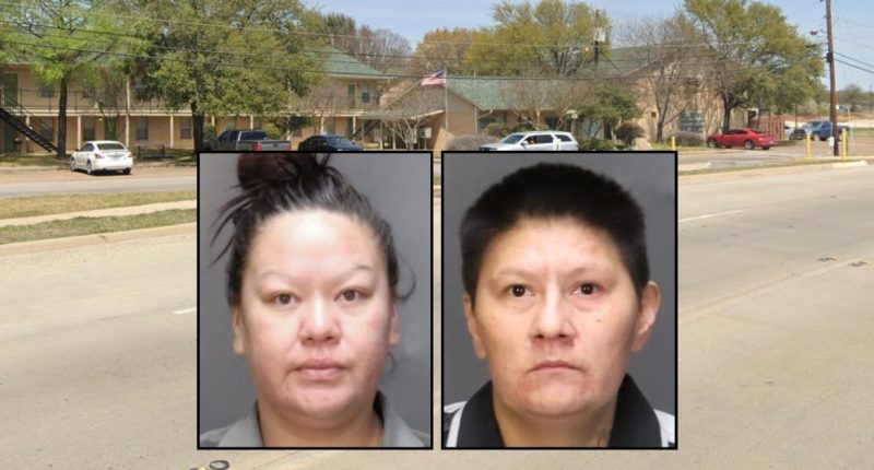 Woman teamed with sister to stab ex-boyfriend 52 times: DA