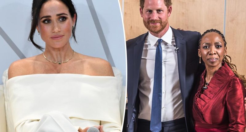 ‘Rude’ Meghan Markle never liked African charity chair at center of Prince Harry drama: report