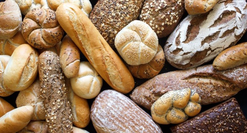 Overhead shot of many assorted breads and rolls.