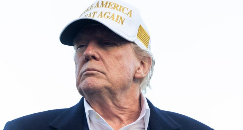 ‘Sit down and make a deal’, Trump orders Putin as he says Ukraine’s battlefields are ‘covered in body parts’