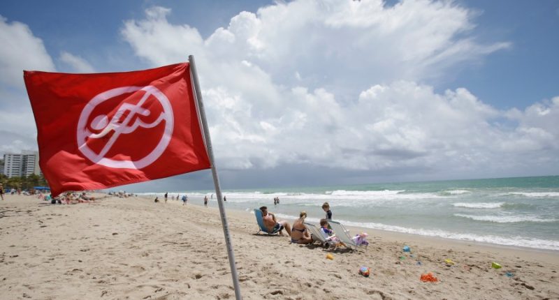 'Help me! Help me!': Florida officers, beachgoer save 3 drowning children at beach
