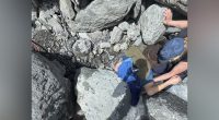 'Very lucky': Alaska man pinned by 700-pound boulder in glacier creek survives