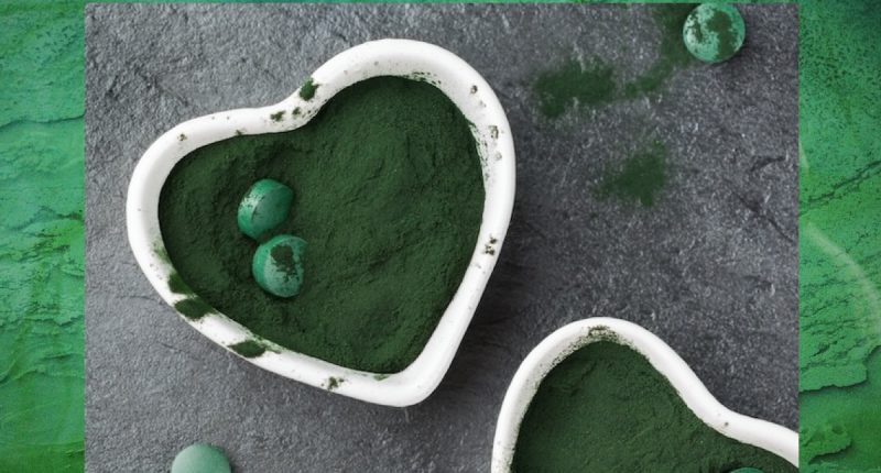 11 Superfoods That Are Shockingly High in Protein