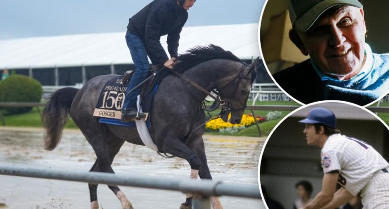 A Preakness Stakes long shot is named after an obscure Met