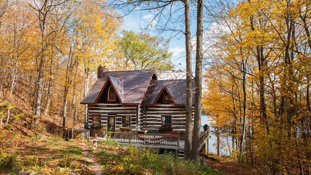 A longevity expert lowered biological age by moving family to forest