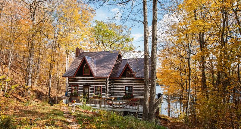 A longevity expert lowered biological age by moving family to forest