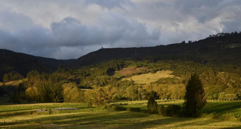 Ancient DNA reveals a new group of people who lived near land bridge between the Americas