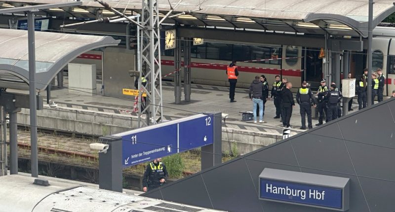 Police officers at a crime scene at Hamburg Central Station.