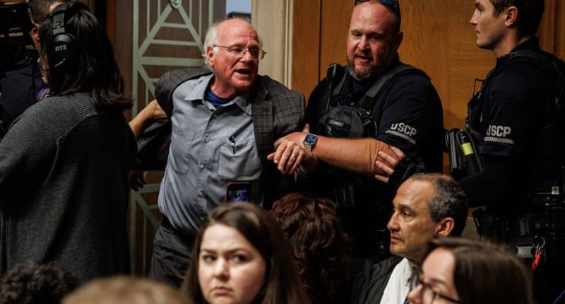 Ben & Jerry's co-founder removed from RFK Jr. hearing for protesting
