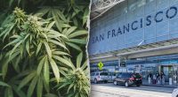 California woman allegedly tried to smuggle 151 pounds of marijuana onto international flight