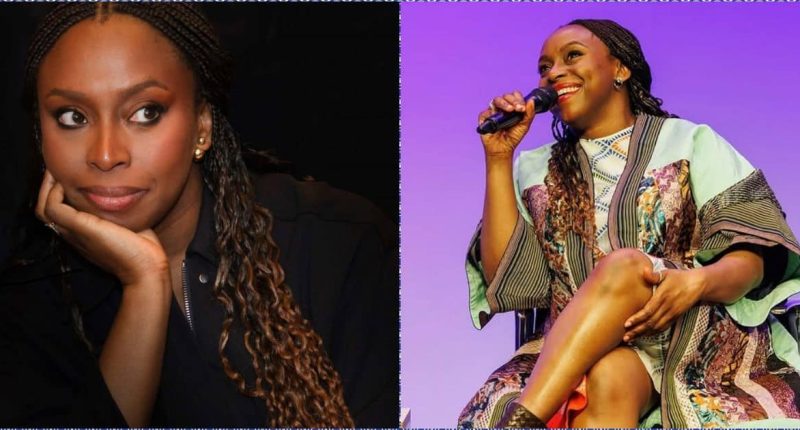 Chimamanda Adichie opens up on welcoming twins through surrogacy