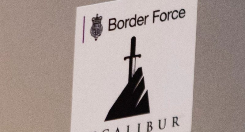 Border Force Excalibur logo.