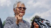 DHS spox suggests House Democrats could face arrest over ICE facility protest
