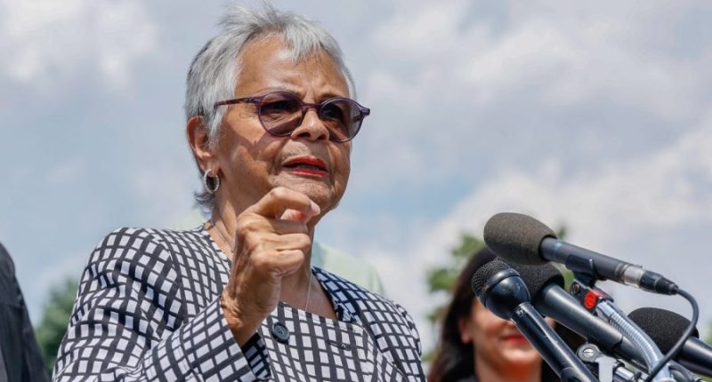 DHS spox suggests House Democrats could face arrest over ICE facility protest