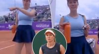 Danielle Collins details viral cameraman incident