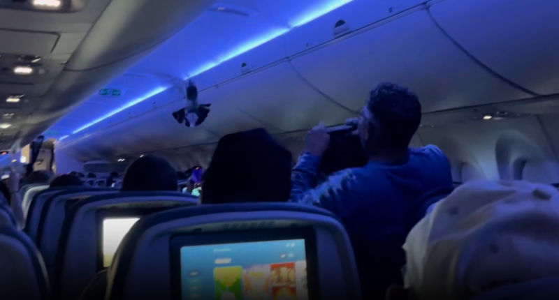 Delta fight disrupted by pigeon flying around inside cabin, video shows