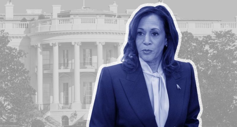 Democrats cautiously open door to another Harris run in 2028