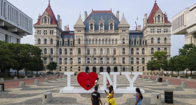 Democrats win New York state Senate race in Trump-friendly district