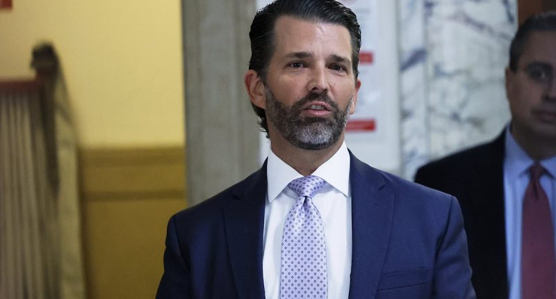 Donald Trump Jr breaks political truce over Joe Biden's cancer