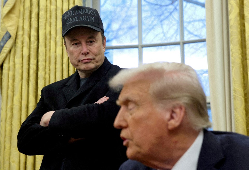 Elon Musk ‘took so much ketamine on campaign trail it affected his bladder… as Tesla boss also used ecstasy & mushrooms’