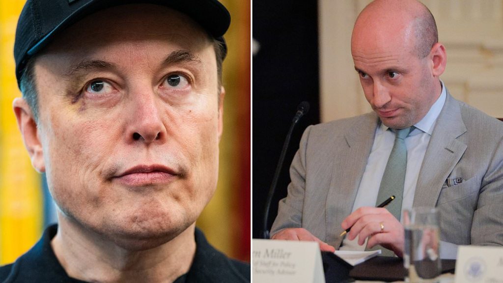 Elon Musk's black eye sparks rumor over Stephen Miller's wife