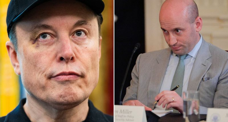 Elon Musk's black eye sparks rumor over Stephen Miller's wife