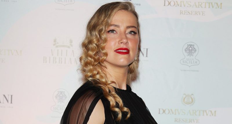 Everyone is saying the same thing as Amber Heard announces twins birth