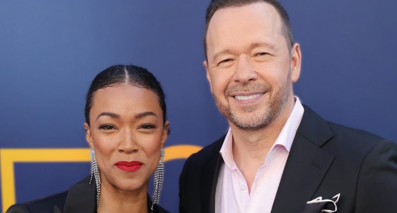 Everything To Know About The Blue Bloods Spin-Off, Boston Blue