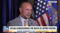 FBI deputy director Dan Bongino drops Jeffrey Epstein bombshell