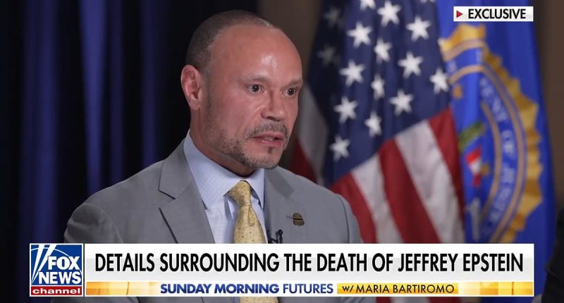 FBI deputy director Dan Bongino drops Jeffrey Epstein bombshell