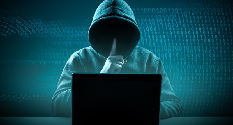 a person in a hoodie sitting in front of a laptop
